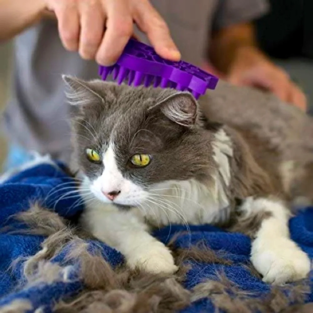 Kong Zoom Groom Cat Brush NEW!! 🐈 🐈‍⬛